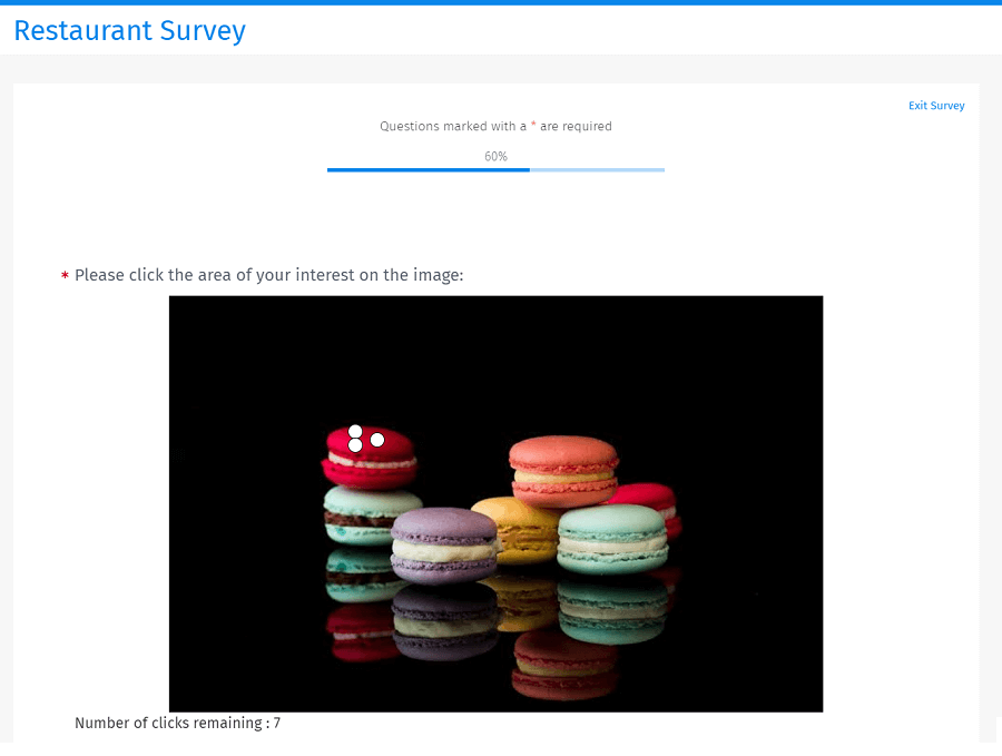 Survey Software Help Image